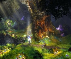 Trine Videos