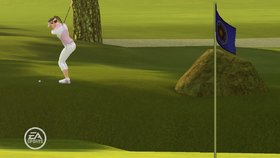 Tiger Woods PGA Tour 09 Screenshot from Shacknews