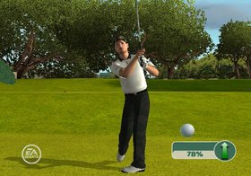 Tiger Woods PGA Tour 09 All-Play Screenshot from Shacknews