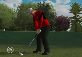Tiger Woods PGA Tour 09 All-Play Screenshot from Shacknews