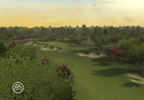 Tiger Woods PGA Tour 09 All-Play Screenshot from Shacknews