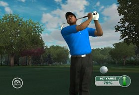 Tiger Woods PGA Tour 09 All-Play Screenshot from Shacknews