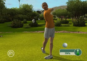 Tiger Woods PGA Tour 09 All-Play Screenshot from Shacknews