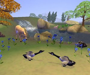 SimAnimals Videos