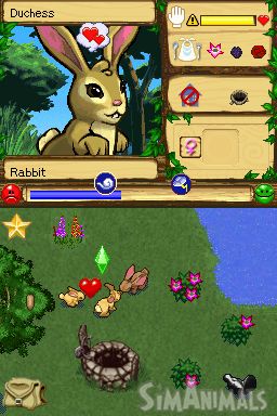 SimAnimals Chat