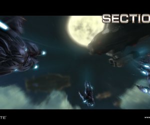 Section 8 Chat