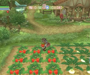 Rune Factory: Frontier Files