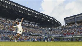 Virtua Tennis 2009 Screenshot from Shacknews