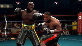 Fight Night Round 4 Screenshot from Shacknews
