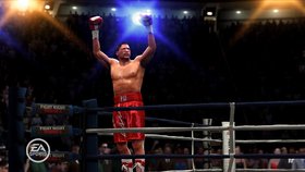 Fight Night Round 4 Screenshot from Shacknews