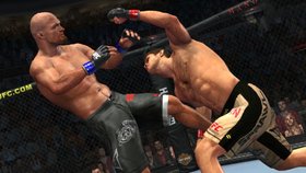 UFC 2009 Undisputed Screenshot from Shacknews