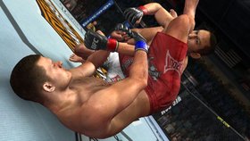 UFC 2009 Undisputed Screenshot from Shacknews