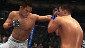 UFC 2009 Undisputed Screenshot from Shacknews