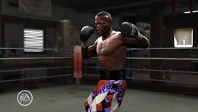 Fight Night Round 4 Screenshot from Shacknews