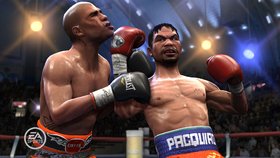 Fight Night Round 4 Screenshot from Shacknews