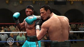 Fight Night Round 4 Screenshot from Shacknews