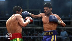 Fight Night Round 4 Screenshot from Shacknews