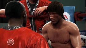 Fight Night Round 4 Screenshot from Shacknews
