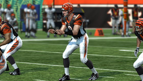Madden NFL 10 Screenshot from Shacknews