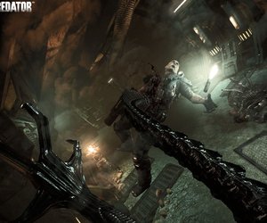 Aliens vs. Predator Chat