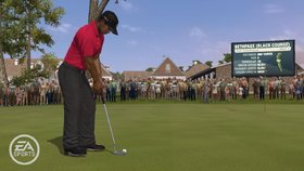 Tiger Woods PGA Tour 10 Screenshot from Shacknews