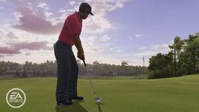 Tiger Woods PGA Tour 10 Screenshot from Shacknews