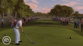 Tiger Woods PGA Tour 10 Screenshot from Shacknews