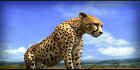 Afrika Screenshot from Shacknews