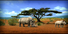 Afrika Screenshot from Shacknews