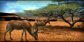 Afrika Screenshot from Shacknews