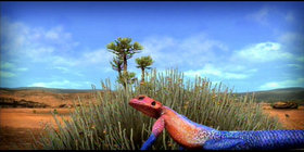 Afrika Screenshot from Shacknews