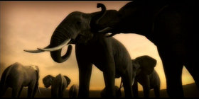 Afrika Screenshot from Shacknews