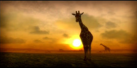Afrika Screenshot from Shacknews