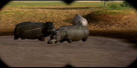 Afrika Screenshot from Shacknews