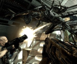 Aliens vs. Predator Chat
