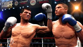 Fight Night Round 4 Screenshot from Shacknews