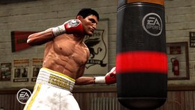 Fight Night Round 4 Screenshot from Shacknews