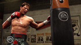 Fight Night Round 4 Screenshot from Shacknews