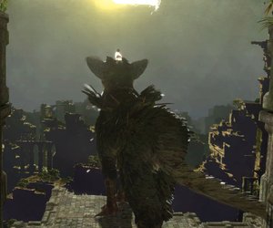 The Last Guardian Chat