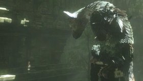 Last Guardian Screenshot from Shacknews