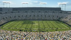 Madden NFL 10 Screenshot from Shacknews