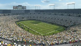 Madden NFL 10 Screenshot from Shacknews