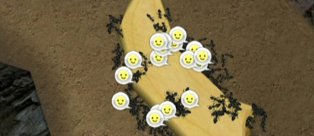 Ant Nation News