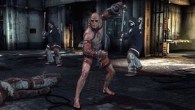 Batman: Arkham Asylum Screenshot from Shacknews