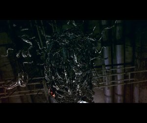 Resident Evil 5 Files