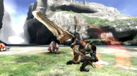 Monster Hunter Tri Screenshot from Shacknews