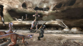 Monster Hunter Tri Screenshot from Shacknews