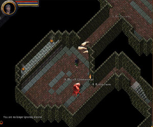 Ultima Online Videos
