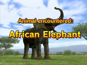 Animal Kingdom: Wildlife Expedition Screenshot from Shacknews