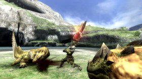 Monster Hunter Tri Screenshot from Shacknews